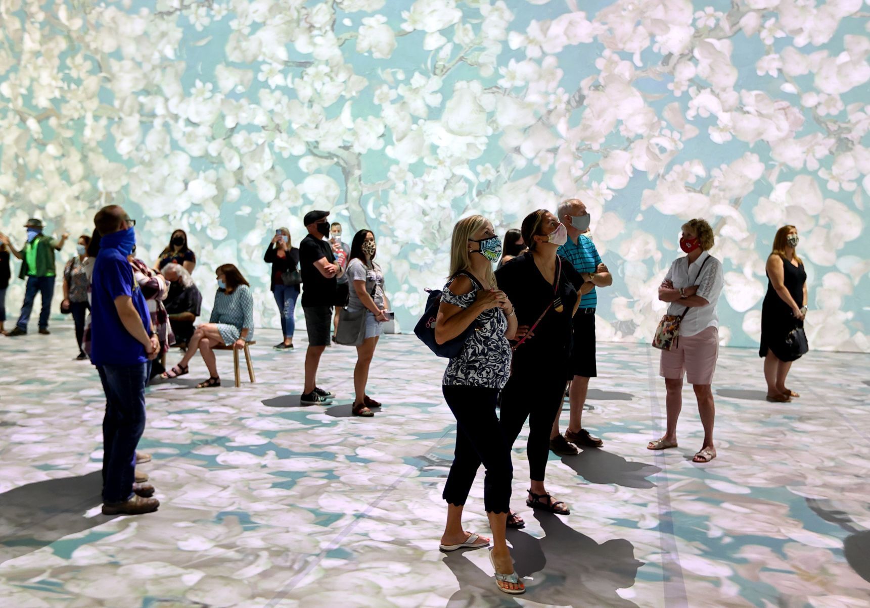 Beyond Van Gogh in St.Louis
